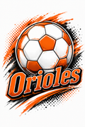 Lennox Soccer Option 2