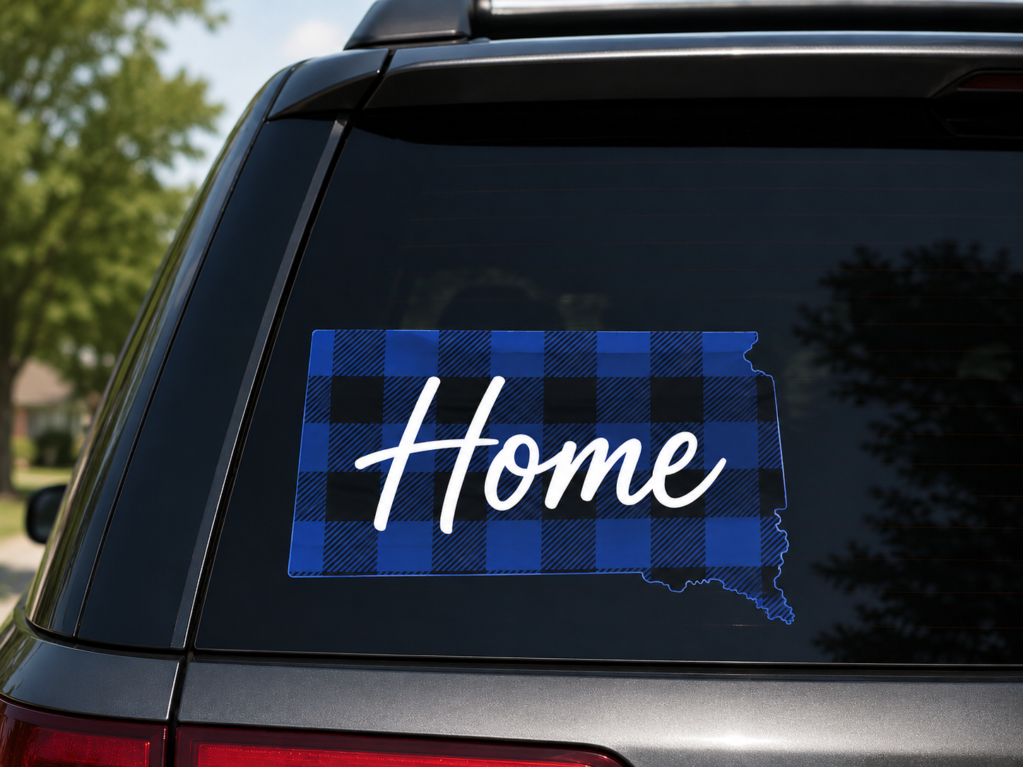 South Dakota Blue Plaid ￼