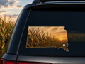 South Dakota Corn Field